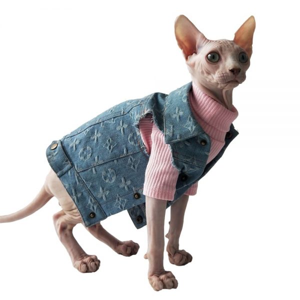 Giacca di jeans per gatti | Giacca di jeans Louis Vuitton per gatto Sphynx