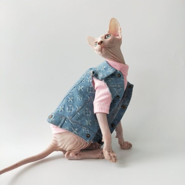 Denim Jacket for Cats | Louis Vuitton Denim Jacket for Sphynx Cat