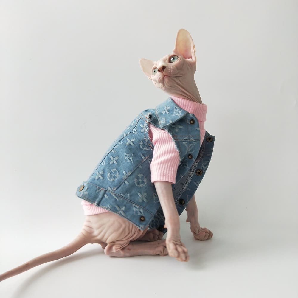 Coat for Cats  Louis Vuitton Cat Jacket, Louis Vuitton Cat Coat ?