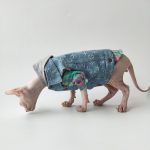 Denim Jacket for Cats | Louis Vuitton Denim Jacket for Sphynx Cat