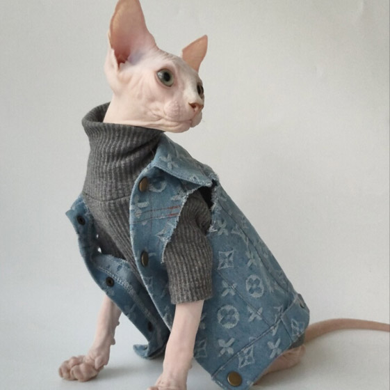 Coat for Cats, Louis Vuitton Cat Jacket, Louis Vuitton Cat Coat ?