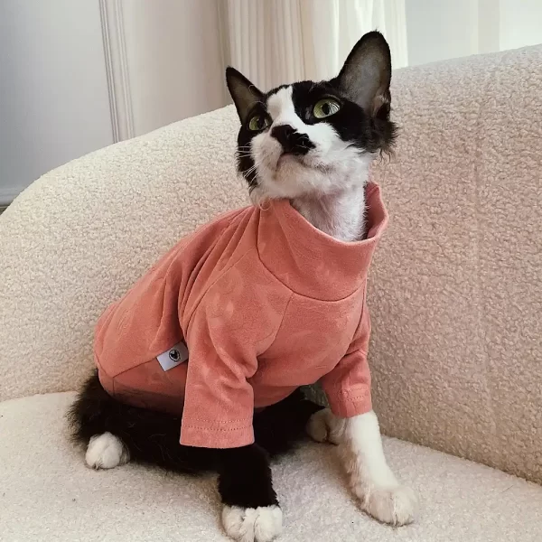 Camisas de desenhador para gatos de cor laranja