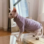 Designer Shirts for Cats-violet