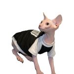 Designer Shirts for Cats | "Alexander Wang" Shirt Tank Top for Sphynx