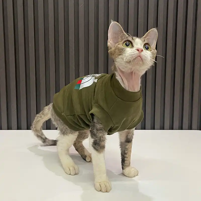 Gucci Cat Clothes  Luxury Gucci Coat for Sphynx Hairless Cat ?