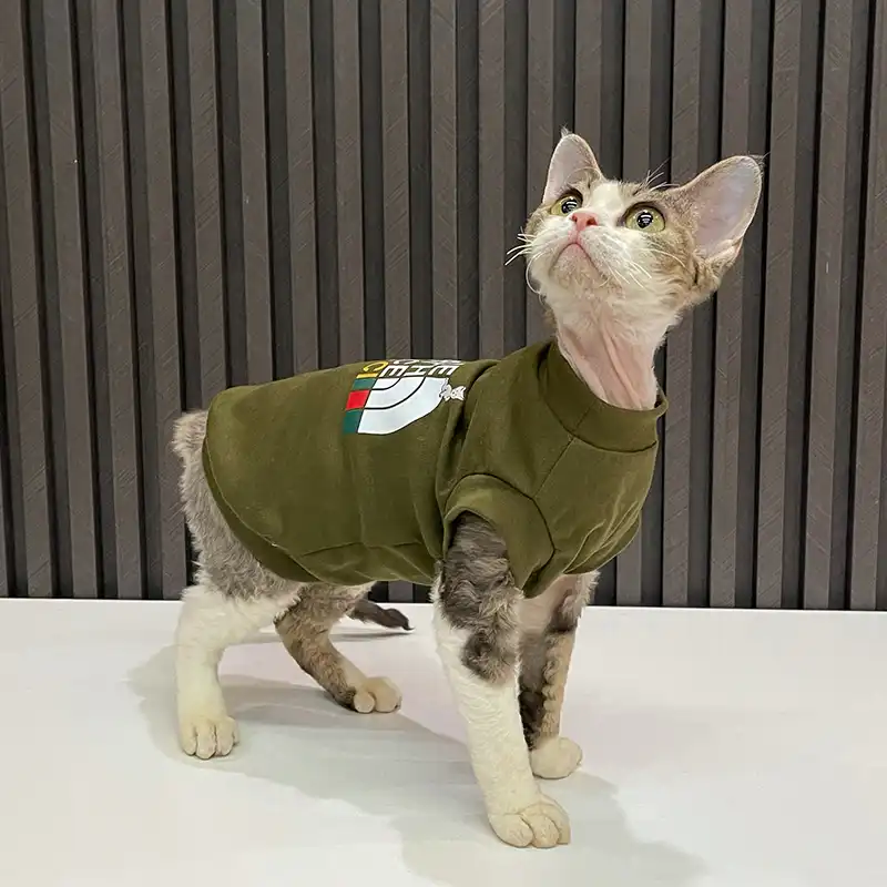 Designer T-shirt for Cat-TNF Shirt