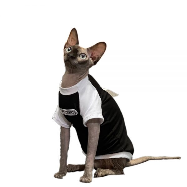 Designer T-shirt for Cat Vetements Shirt for Sphynx Hairless Cat
