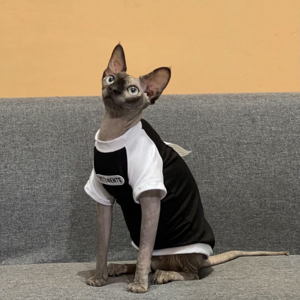Designer T-shirt for Cat Vetements Shirt for Sphynx Hairless Cat