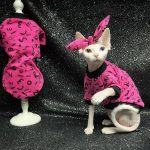 Kitten Clothes for Kittens | Pink Shirt, Tank Top for Sphynx Hairless Cat