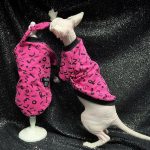 Kitten Clothes for Kittens | Pink Shirt, Tank Top for Sphynx Hairless Cat