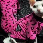 Kitten Clothes for Kittens | Pink Shirt, Tank Top for Sphynx Hairless Cat