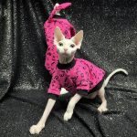 Kitten Clothes for Kittens | Pink Shirt, Tank Top for Sphynx Hairless Cat