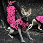 Kitten Clothes for Kittens | Pink Shirt, Tank Top for Sphynx Hairless Cat