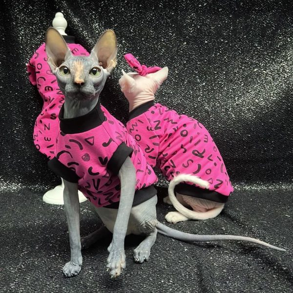 Одежда для котят | Розовая рубашка, майка для сфинкса бесшерстной кошки