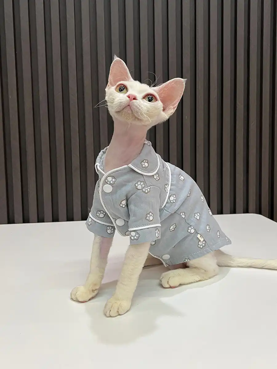 Clothing for Sphynx Cats | LV Pajamas for Cats, Two Styles Pajamas