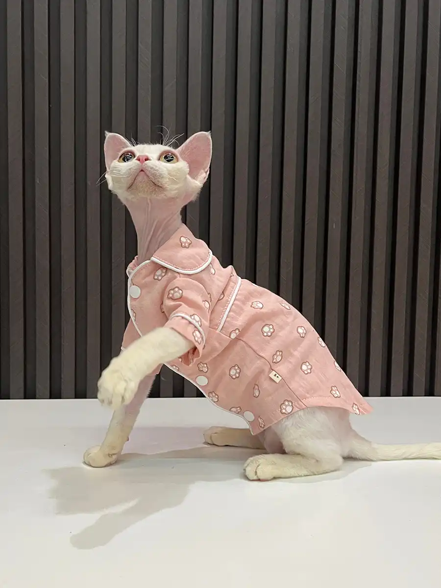 Louis Vuitton Cat Shirt Get - Yeswarmg sphynx clothes