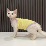 Sphynx Cat Clothes Summer-Yellow tank top for Sphynx