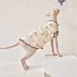 Sphynx Hairless Cat Clothes | Little Bear Sleeveless Shirt for Sphynx Cat