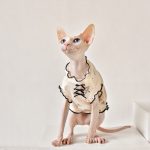 Sphynx Hairless Cat Clothes | Little Bear Sleeveless Shirt for Sphynx Cat