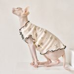 Sphynx Hairless Cat Clothes | Little Bear Sleeveless Shirt for Sphynx Cat