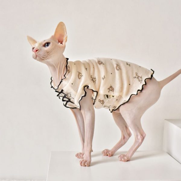 Vêtements pour chat sans poils Sphynx | Chemise sans manches Little Bear pour chat Sphynx