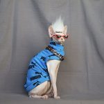 Sphynx One Hole Sweater PUMA Blue Sweater for Sphynx Hairless Cat