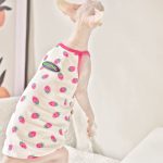 Летняя одежда для кошки породы сфинкс | Рубашка в фруктовом стиле для кошки породы сфинкс