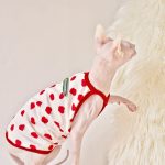 スフィンクス猫の夏服｜スフィンクス猫のためのフルーツ風シャツ