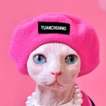 Cute Cat Sweaters for Cats-Pink Beret