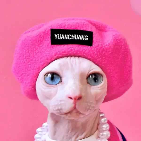 Bonitos jerseys para gatos-Boina rosa