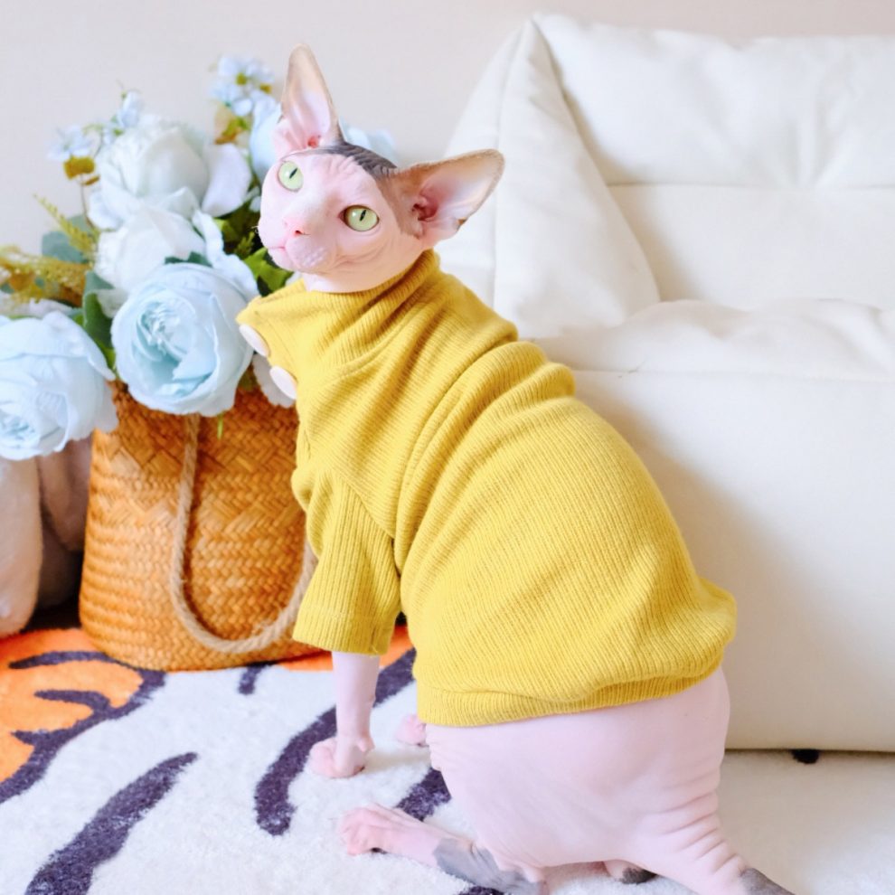 Cute Cat Sweaters for Cats Sweaters with Buttons for Sphynx Cats