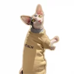 Designer Hoodie for Sphynx | "ESSENTIALS" Hoodie&Sweatshirt for Cat