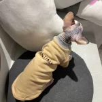 Designer Hoodie for Sphynx | "ESSENTIALS" Hoodie&Sweatshirt for Cat