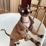 Designer Shirt for Hairless-Burberry