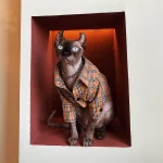 Designer Shirt for Hairless-Burberry