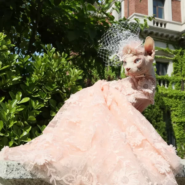 Vestido Formal para o Sphynx Pink Trailing Dress para o Sphynx Cat