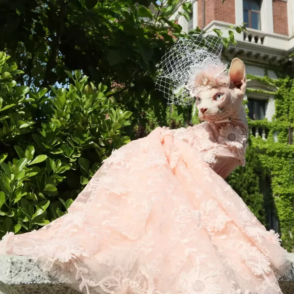 Formal Dress for Sphynx Pink Trailing Dress for Sphynx Cat