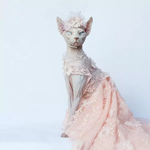 Formal Dress for Sphynx Pink Trailing Dress for Sphynx Cat