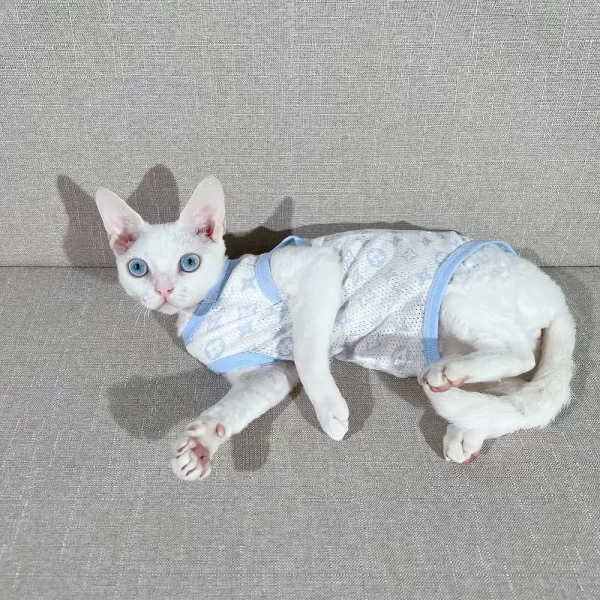 LV-Shirt für Katzen-T-Shirt aus reiner Baumwolle für Sphynx