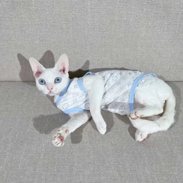 LV Shirt for Cat-Pure Cotton T-shirt for Sphynx