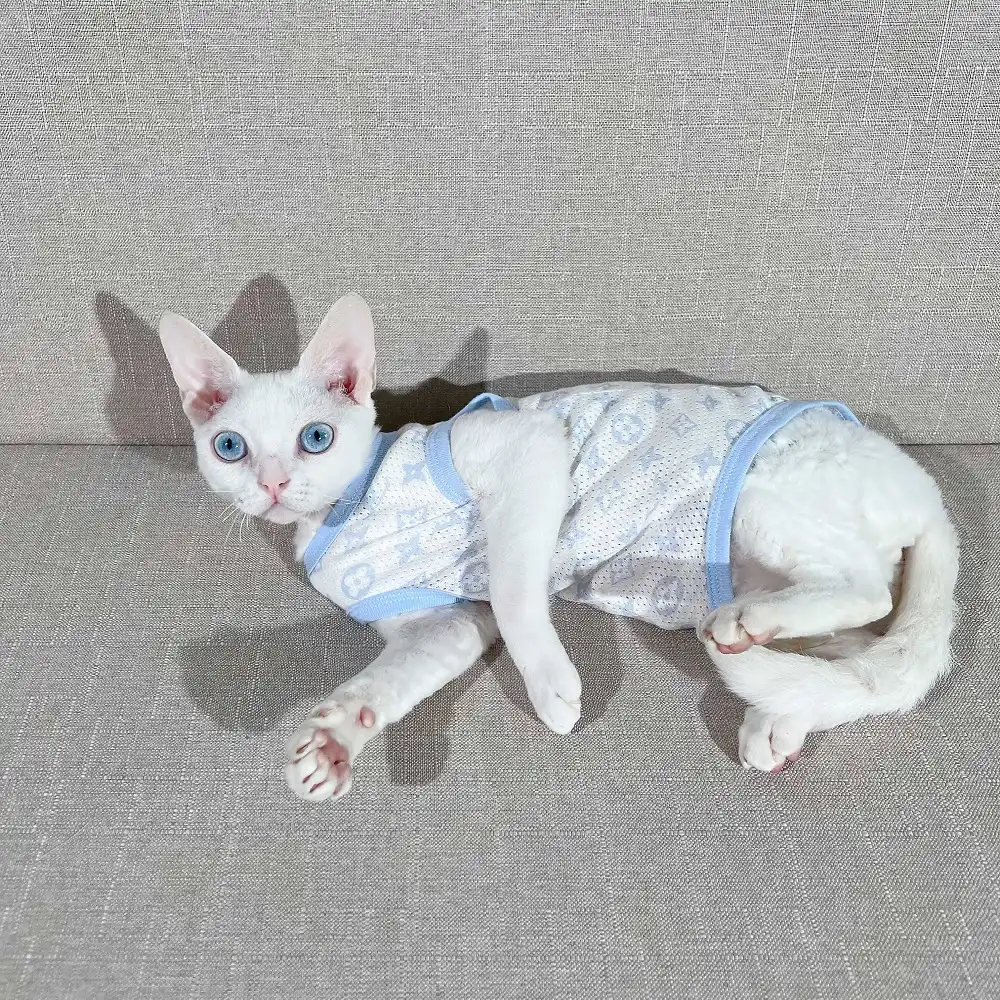 Louis Vuitton Shirt for Cat  Classic LV Tank Tops for Cats