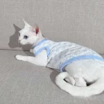 LV Shirt for Cat-Camiseta de algodón puro para Sphynx