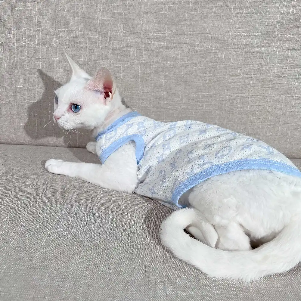 Cat T Shirts for Cats, Louis Vuitton Cat Clothes, Cat Designer Shirt