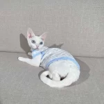 LV Shirt for Cat-Camiseta de algodón puro para Sphynx