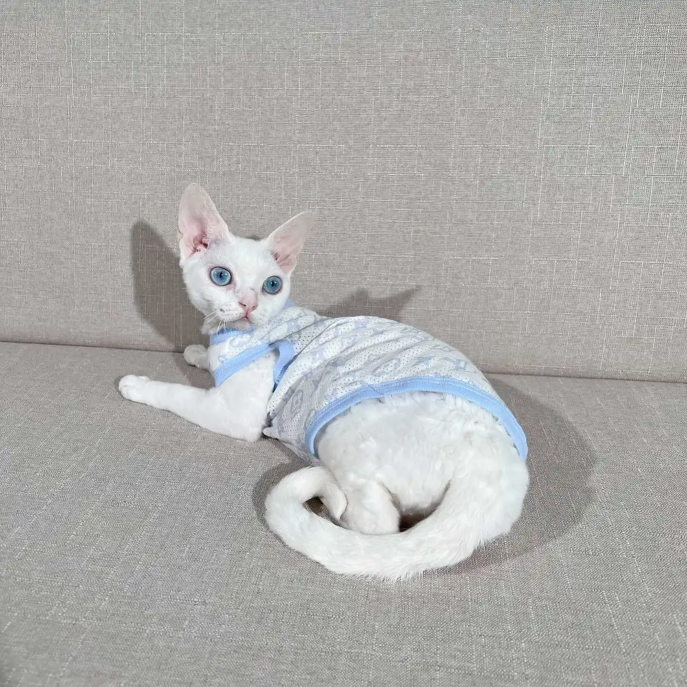 Designer Kitten Clothes  Classic LV T-shirt for Sphynx Cat