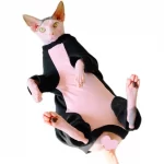 Medical Pet Shirt for Cats | Pink Yellow Onesie for Sphynx Cat