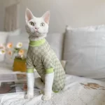 Medical Pet Shirt for Cats-Plaid Shirt