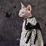 Sphynx Cat Clothes Girl-Black Bow Dress for Sphynx Hairless Cat