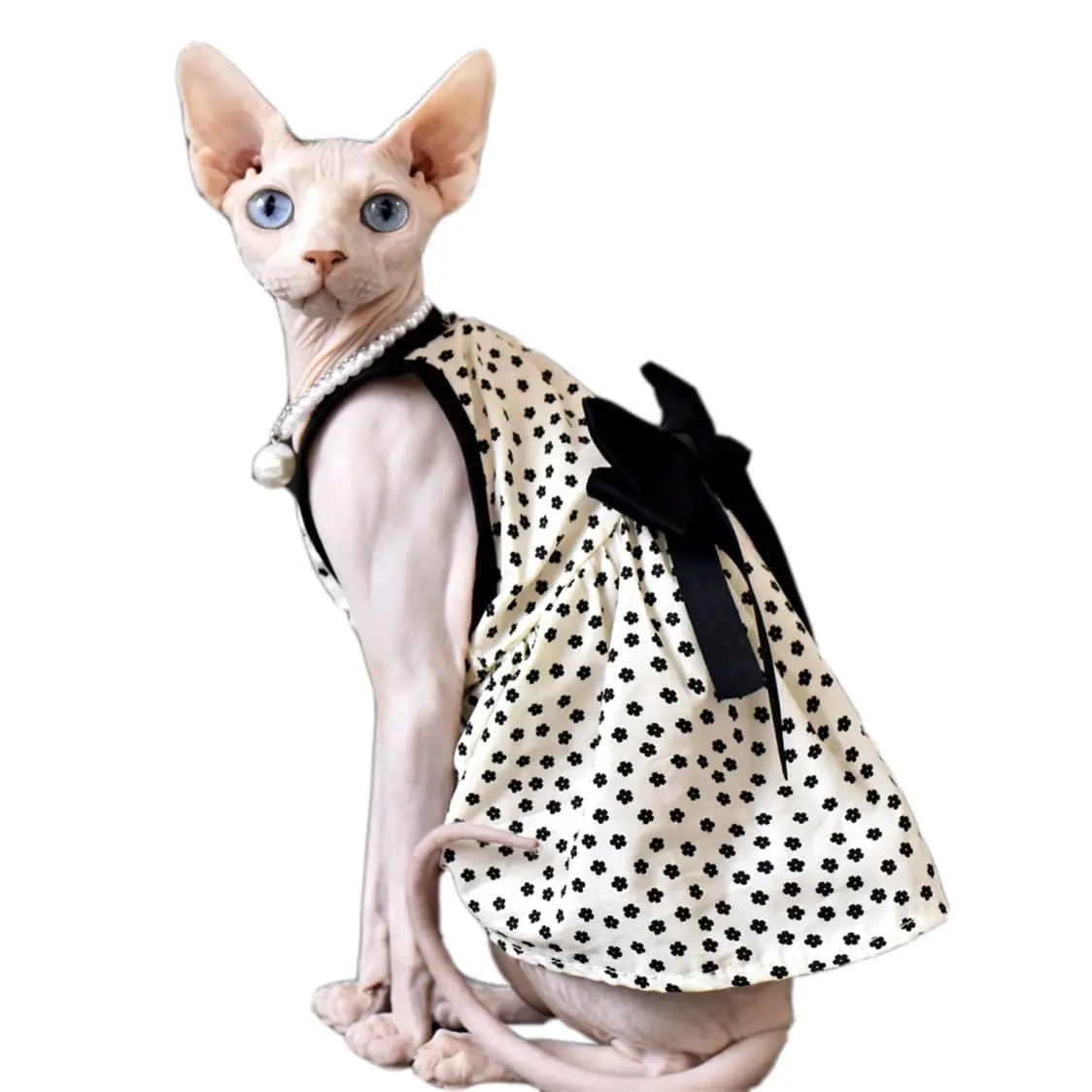 Sphynx Cat Clothes Girl-Black Bow Dress for Sphynx Hairless Cat