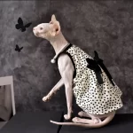 Sphynx Cat Clothes Girl-Black Bow Dress for Sphynx Hairless Cat